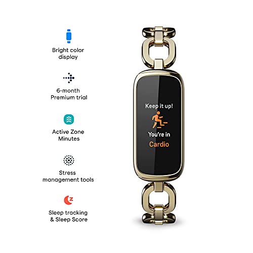 Fitbit Wellness Stainless Bracelet Included