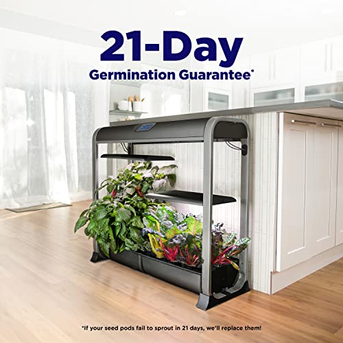 AeroGarden Farm 24Plus Salad Black